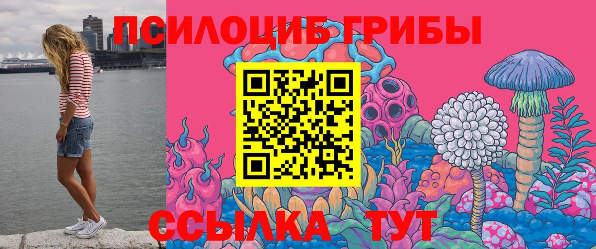 Псилоцибиновые грибы Psilocybine cubensis Камень-на-Оби