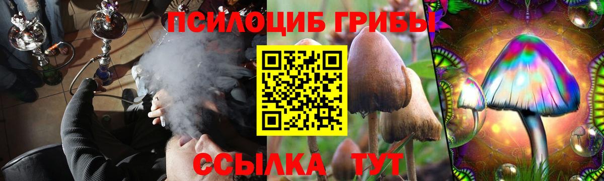Камень-на-Оби  Галлюциногенные грибы Psilocybe  Псилоцибиновые грибы ЛСД  Вход с VPN 