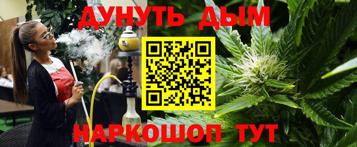 Конопля гибрид Камень-на-Оби